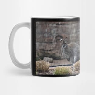 Wallaby Mug